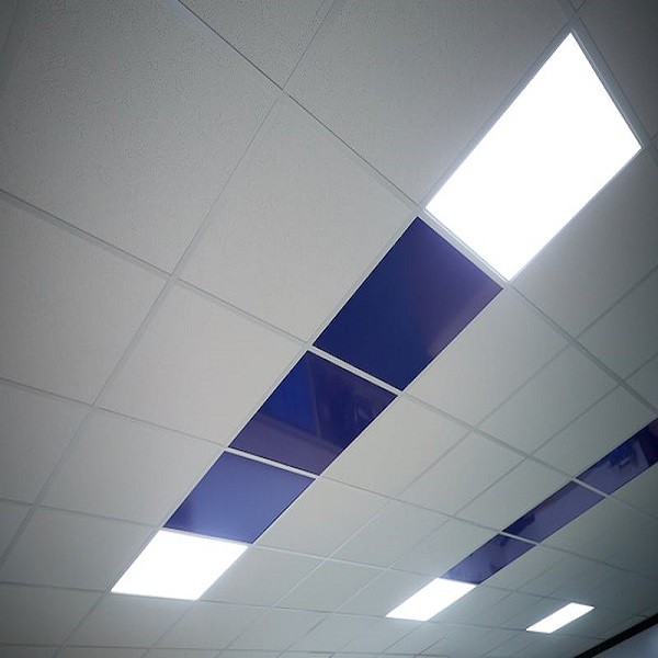 6 PVC grid ceiling 6 PVC grid ceiling