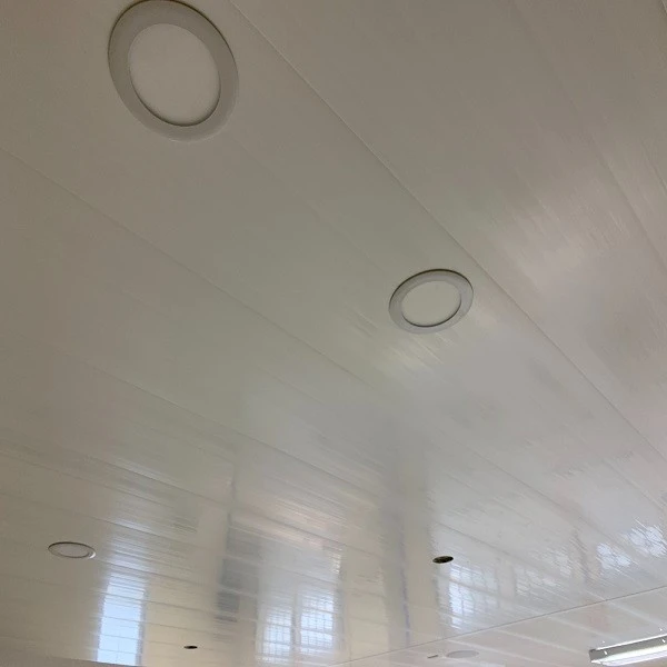 Pvc Ceiling Panels