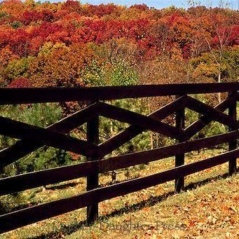 Black Cross Rail Vinyl Horse Fence suppliers