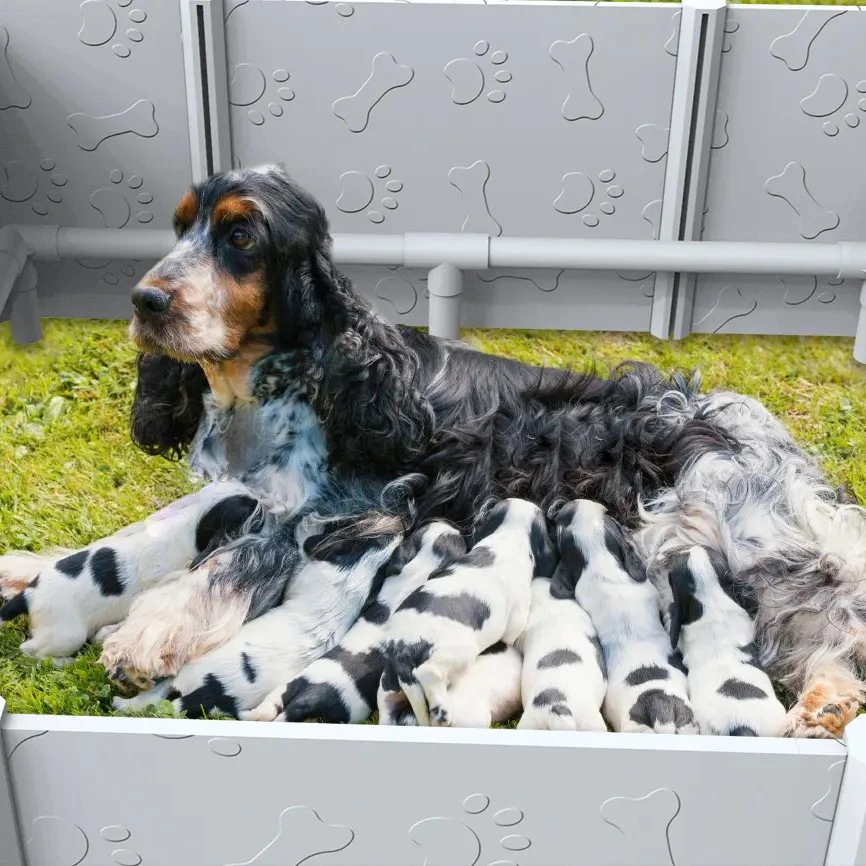 Vinyl PVC Plastic Dog Whelping Box